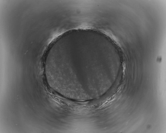 X0000098231160200805221704