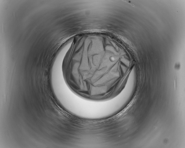 X0000098231161200805221704