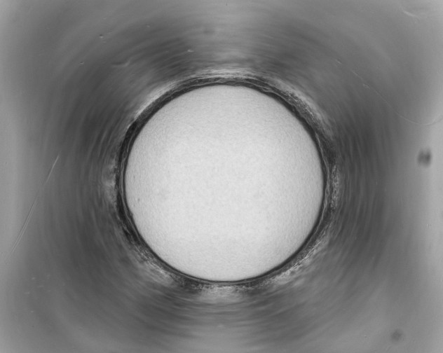 X0000098231162200805221704