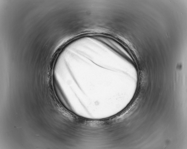 X0000098231163200805221704