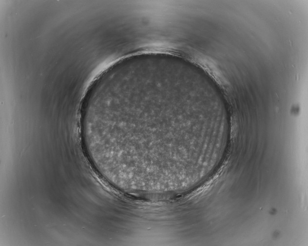 X0000098231164200805221704