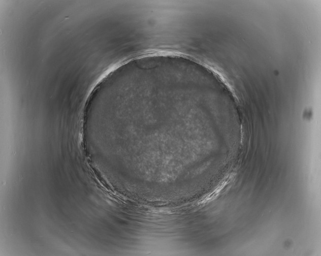 X0000098231165200805221704