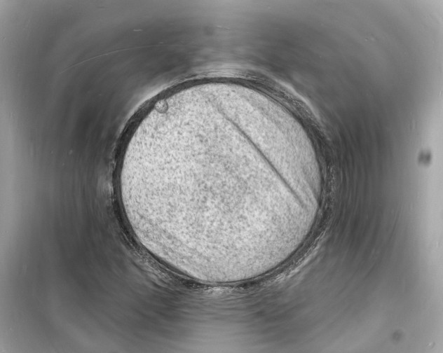 X0000098231166200805221704