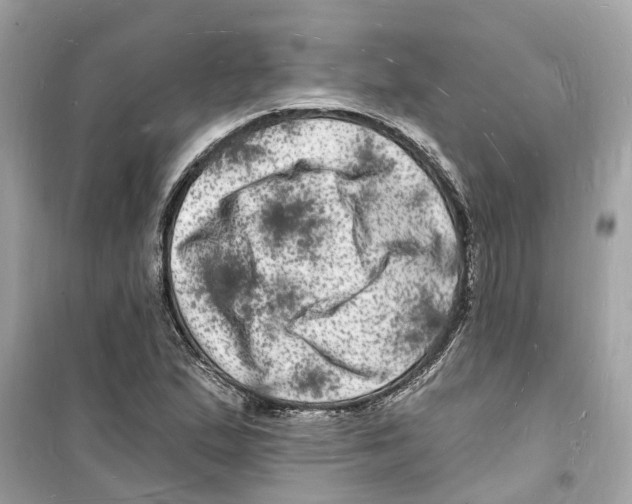 X0000098231167200805221704