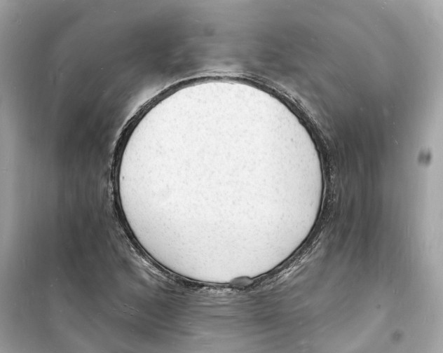 X0000098231168200805221704