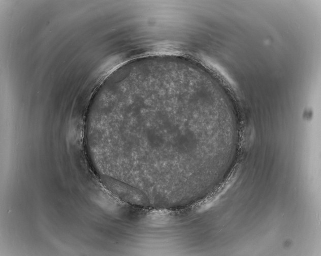 X0000098231169200805221704