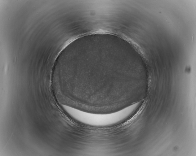 X0000098231170200805221704