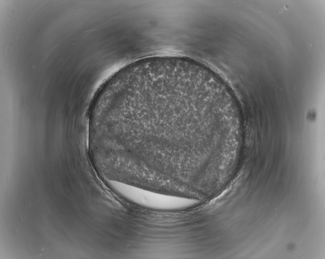 X0000098231171200805221704