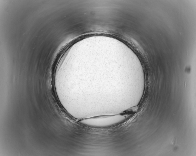 X0000098231172200805221704