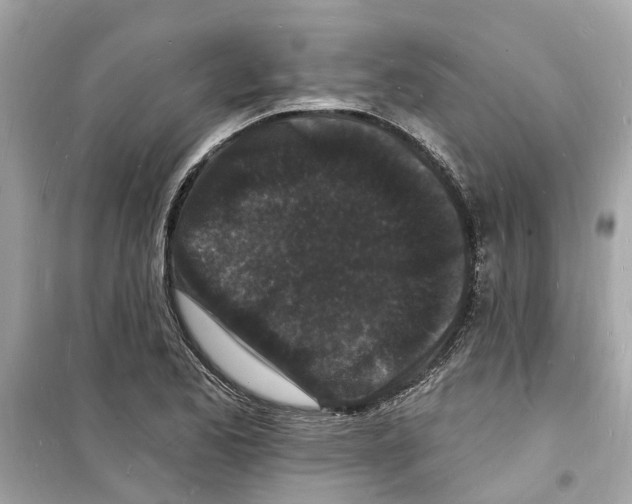 X0000098231173200805221704