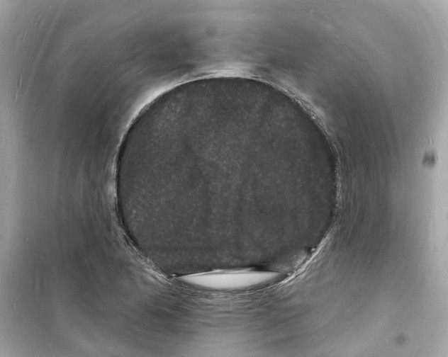 X0000098231174200805221704