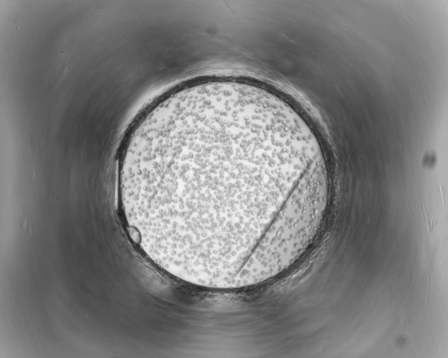 X0000098231175200805221704