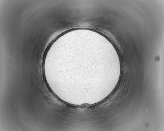 X0000098231176200805221704