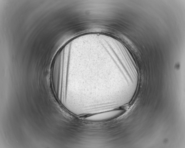 X0000098231178200805221704