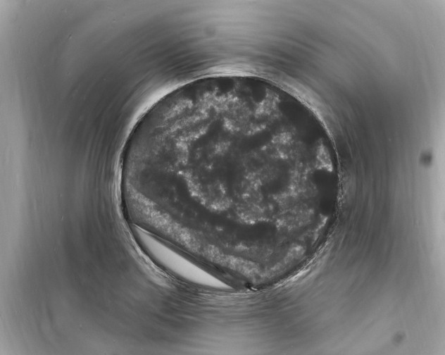 X0000098231179200805221704