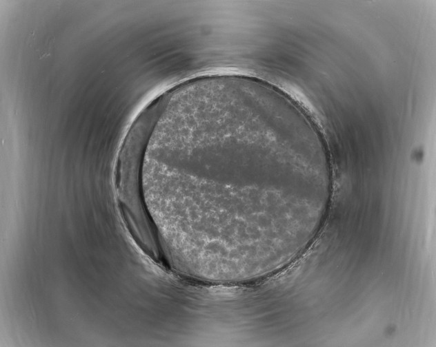 X0000098231181200805221704