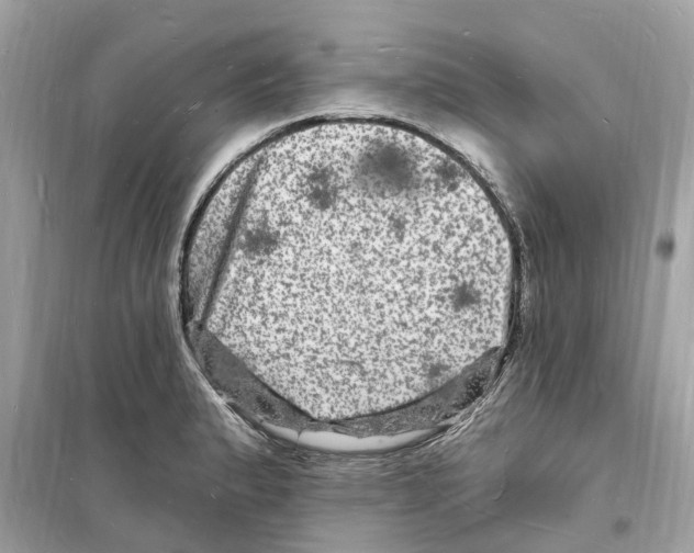 X0000098231183200805221704