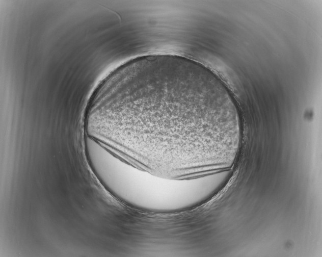 X0000098231184200805221704