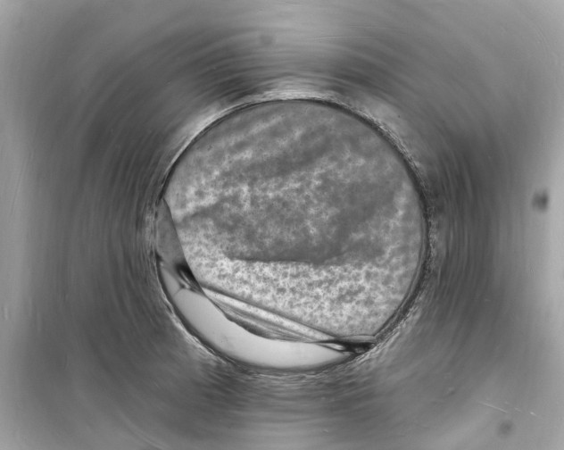 X0000098231185200805221704