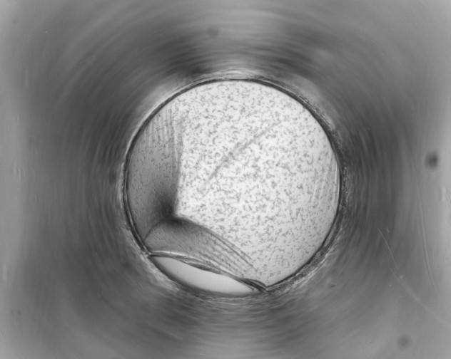 X0000098231186200805221704