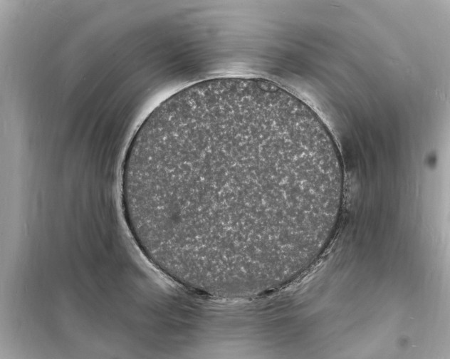 X0000098231187200805221704