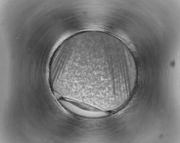 X0000098231188200805221704