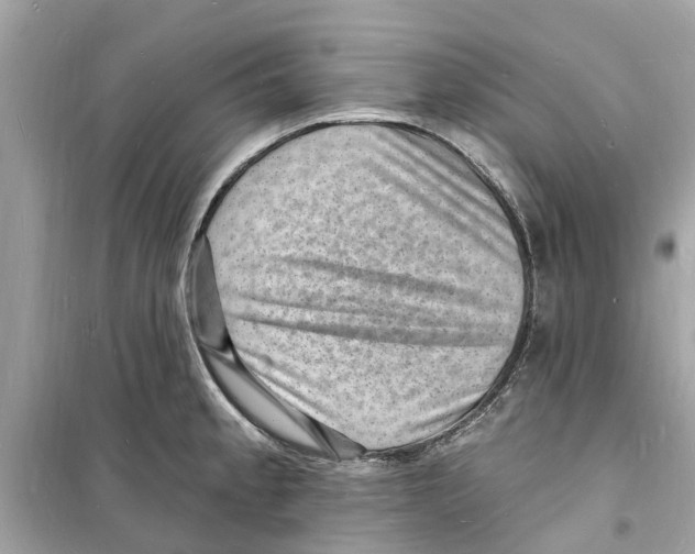 X0000098231189200805221704