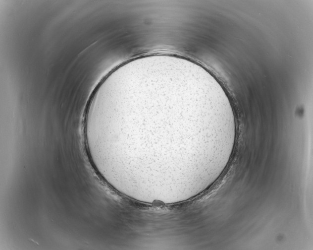 X0000098231190200805221704