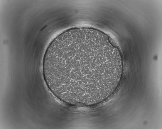 X0000098231191200805221704