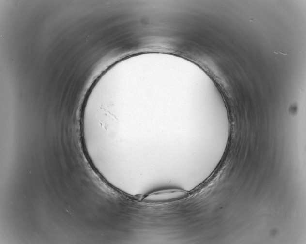 X0000098231192200805221704