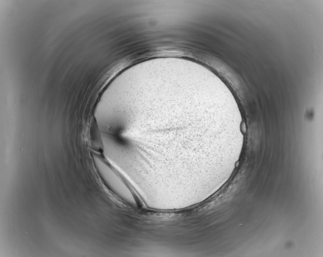 X0000098231193200805221704