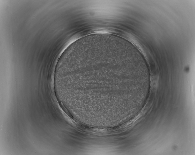 X0000098231194200805221704