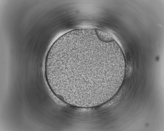 X0000098231195200805221704