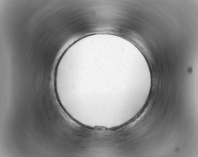 X0000098231196200805221704