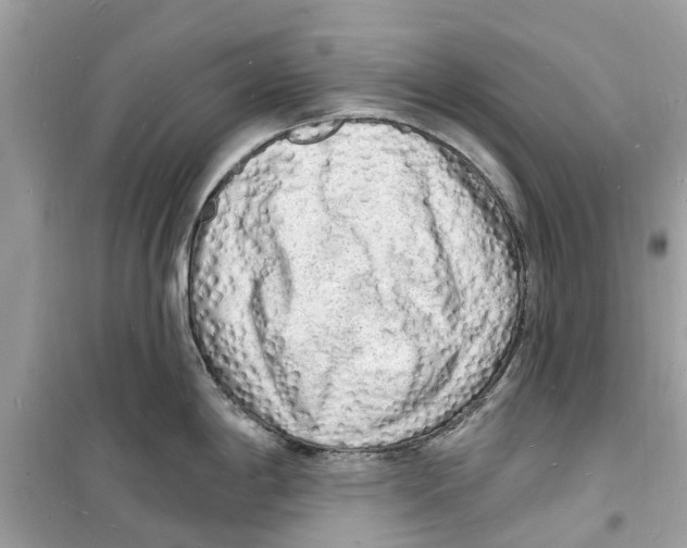 X0000098231198200805221704