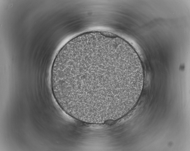 X0000098231199200805221704