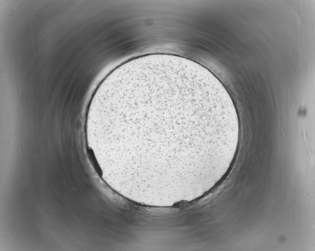 X0000098231200200805221704