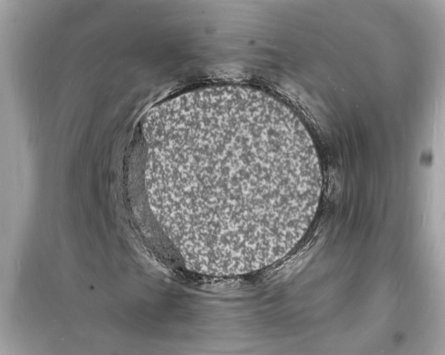 X0000098231201200805221703