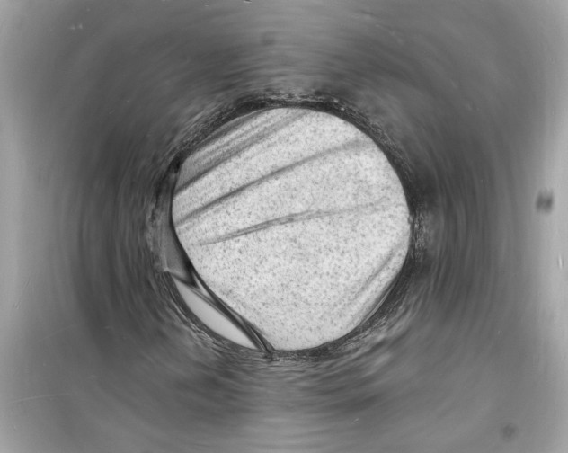 X0000098231202200805221703