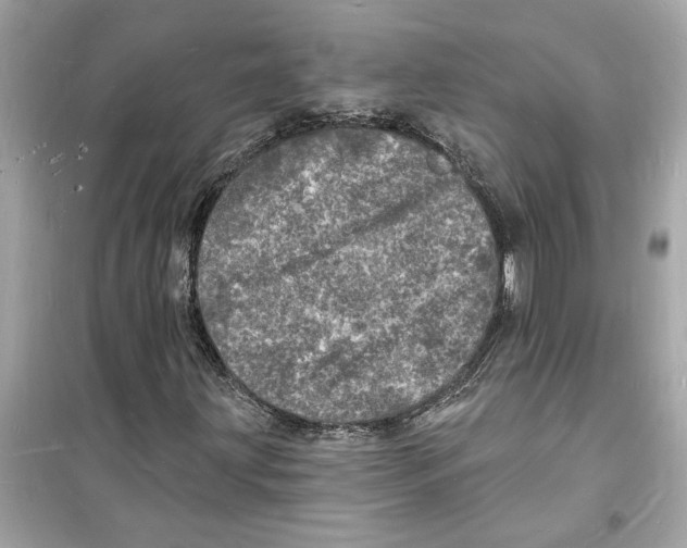 X0000098231203200805221703