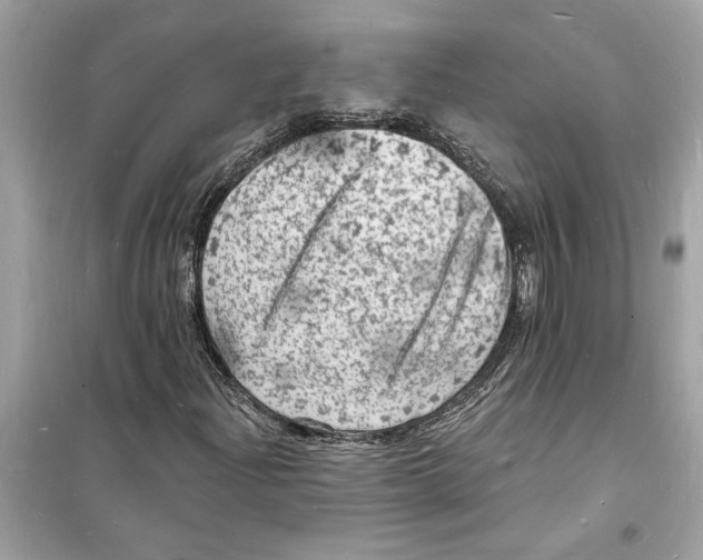 X0000098231204200805221703