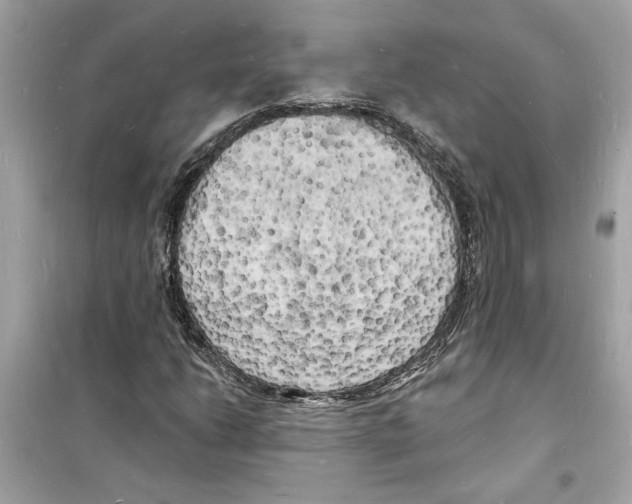 X0000098231206200805221703