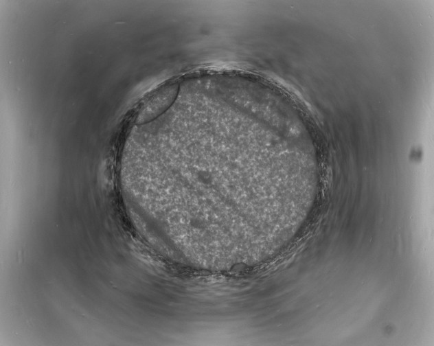 X0000098231207200805221703