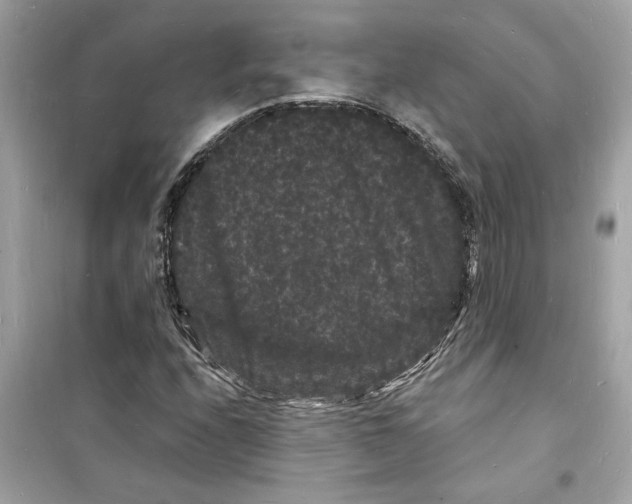 X0000098231208200805221703