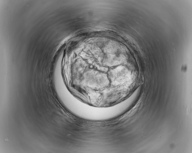 X0000098231210200805221703