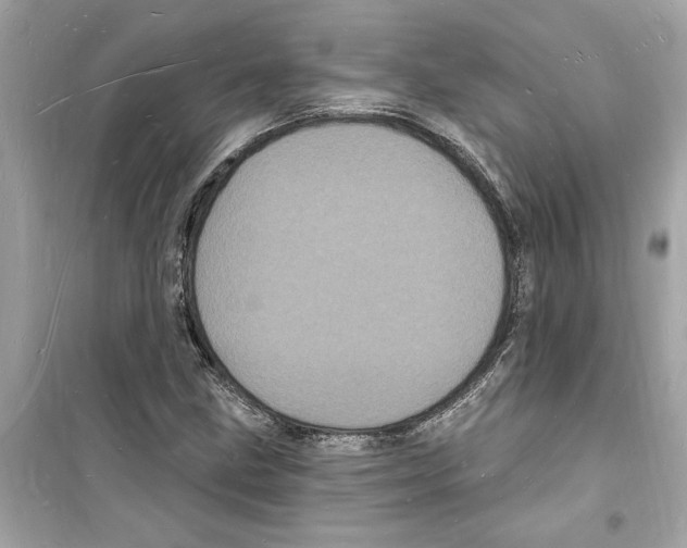 X0000098231211200805221703