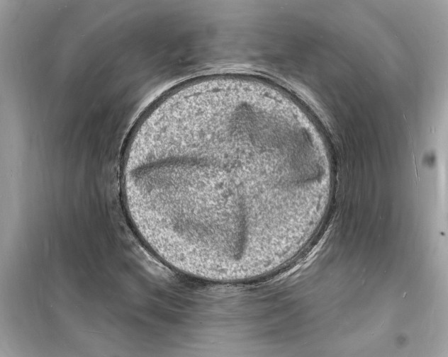 X0000098231212200805221703