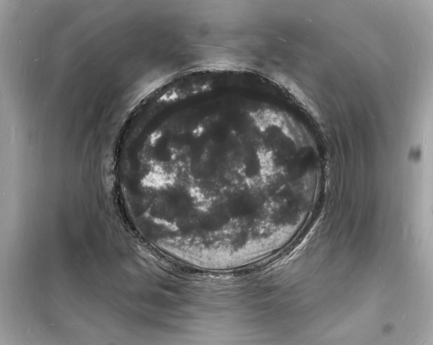 X0000098231213200805221703