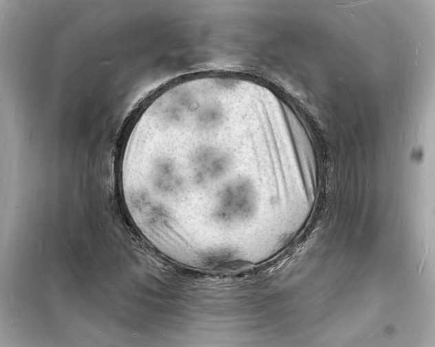 X0000098231214200805221703