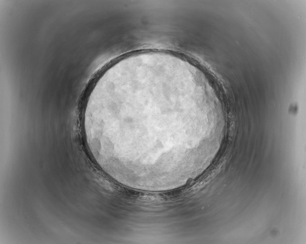 X0000098231215200805221703